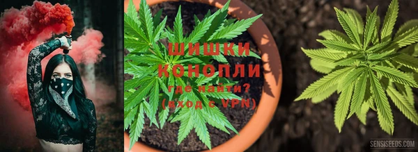 МДПВ Абинск