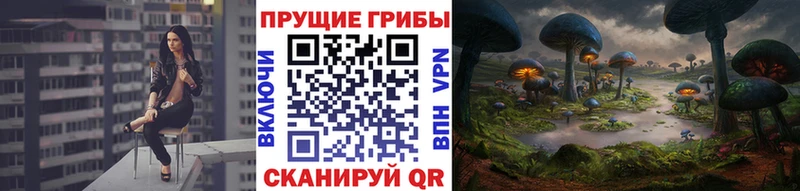 купить наркотик  мега рабочий сайт  Псилоцибиновые грибы Psilocybine cubensis  Усолье 